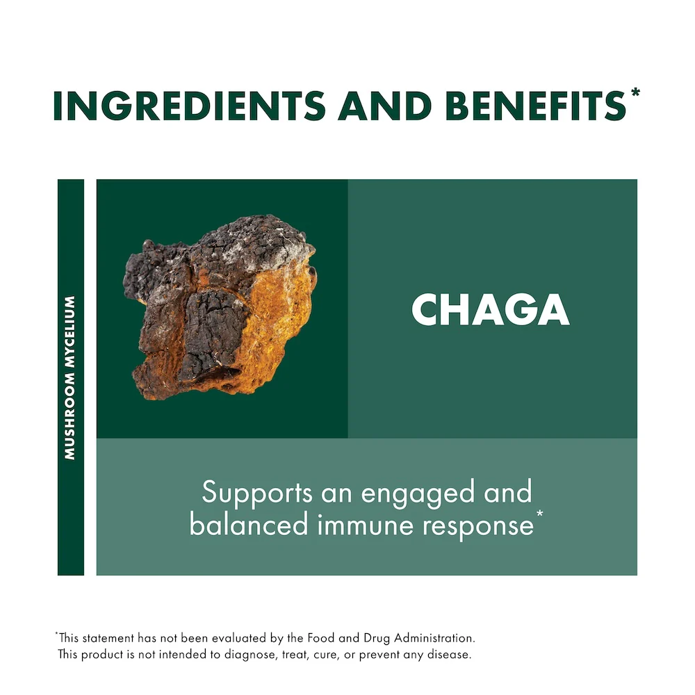 Chaga Capsules - Image 5