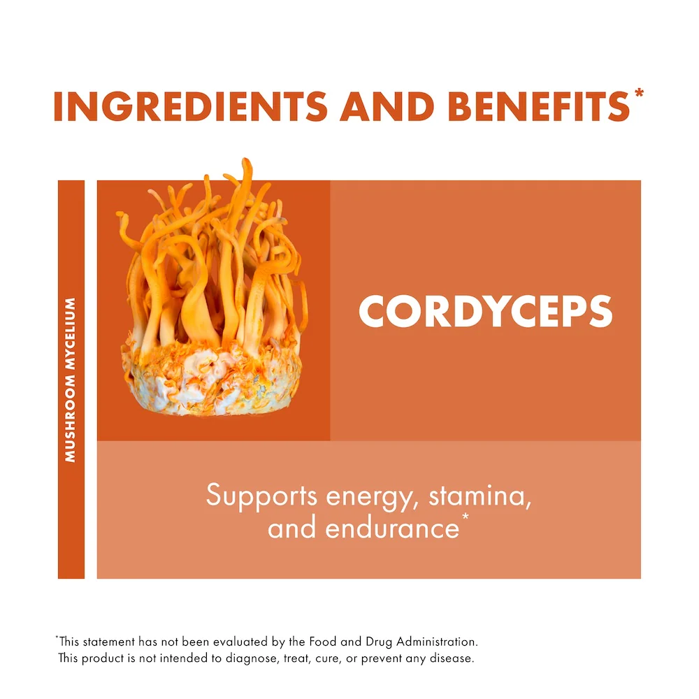 Cordyceps Capsules - Image 21