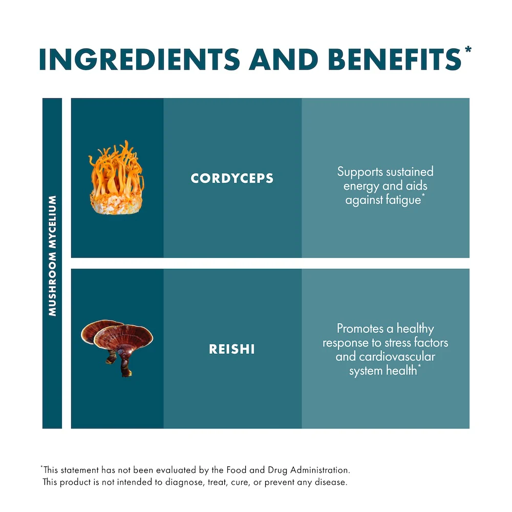 CordyChi® Extract - Image 5
