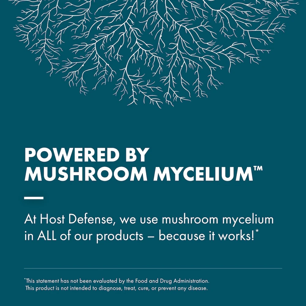 Reishi Capsules - Image 23