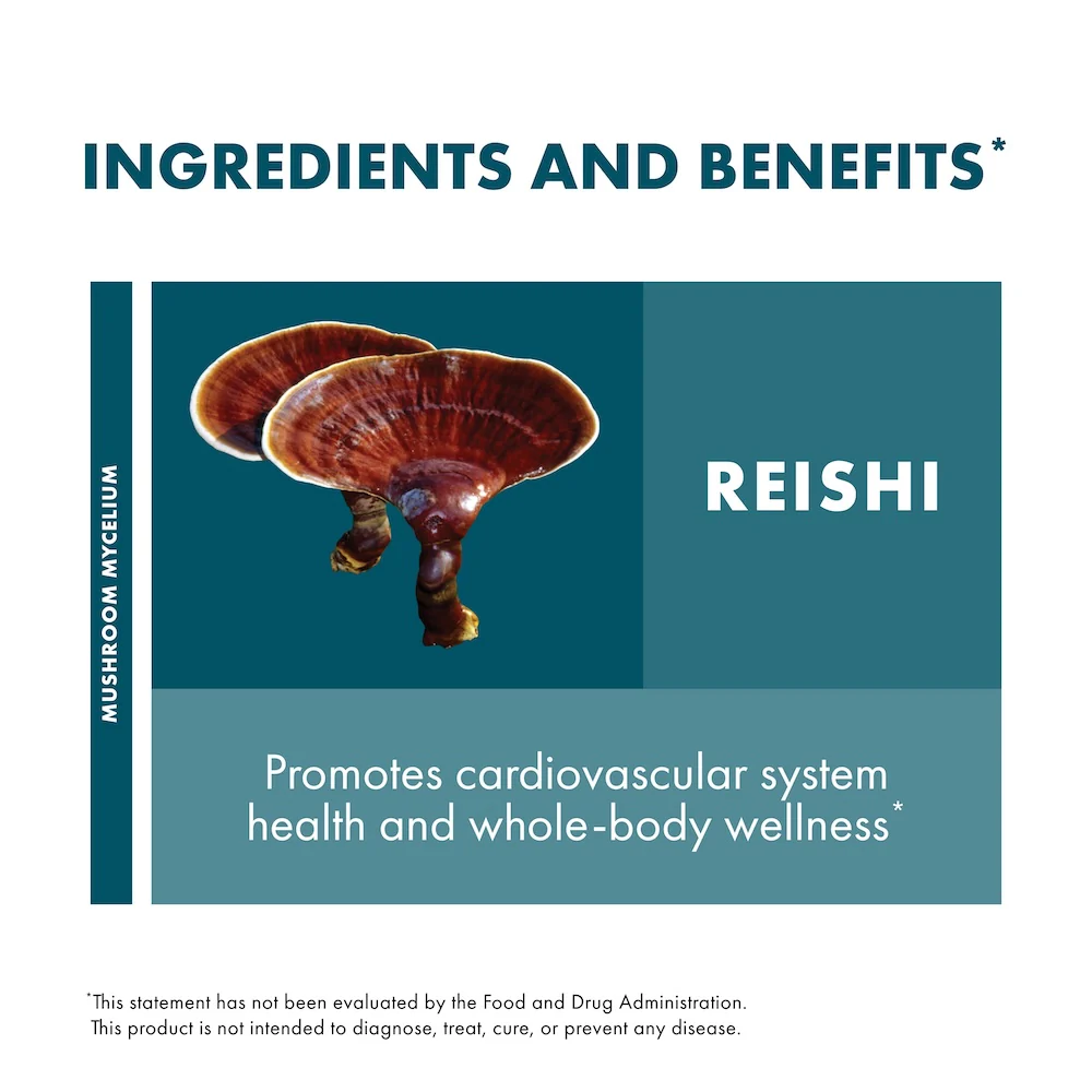 Reishi Capsules - Image 5