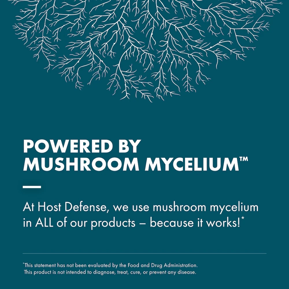 Reishi Powder - Image 7