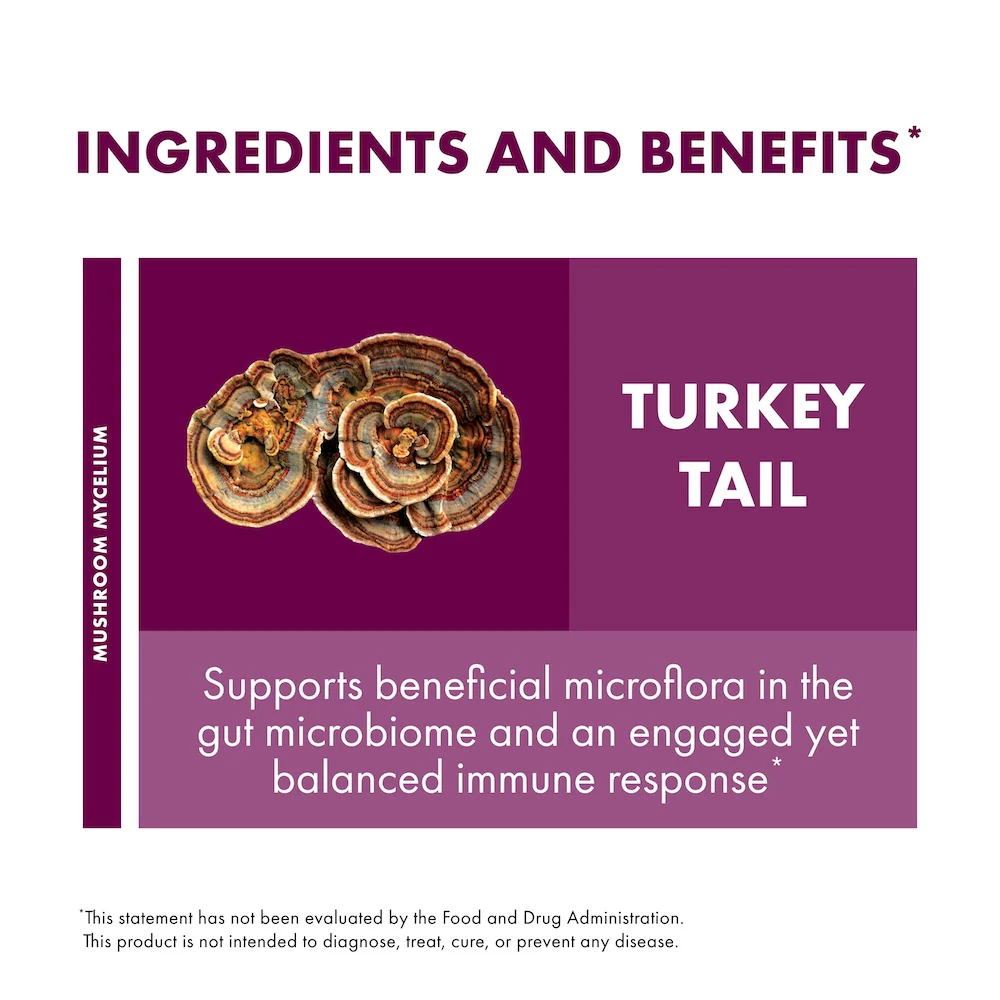 Turkey Tail Powder - Image 13